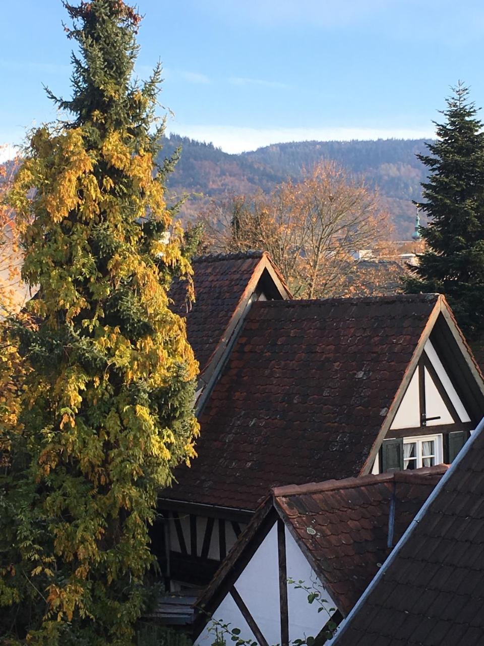 Die Gruene Bettlad Boutique-Hotel Бюхль Экстерьер фото